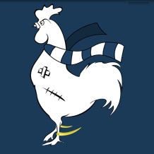 Link to The Fighting Cock Spurs site