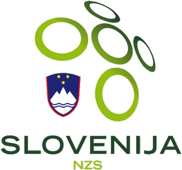 Slovenia National Football Team logo
