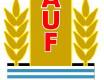 Uruguay National Team badge