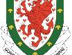 Wales National Team badge