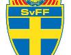 Sweden National Team badge