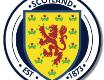 Scotland National Team badge