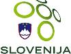 Slovenia National Team badge